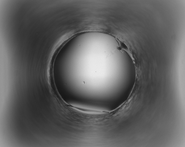 X0000093510340200711091725