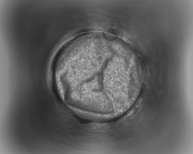 X0000093510343200711091725