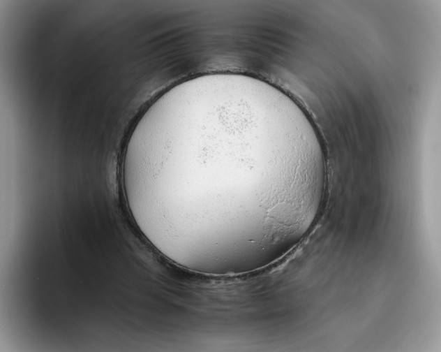 X0000093510345200711091725