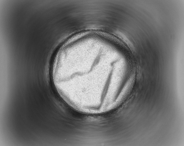 X0000093510346200711091725