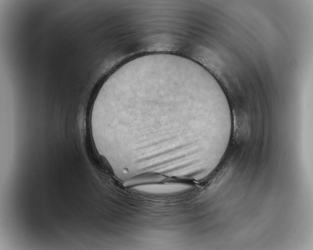 X0000093510348200711091725