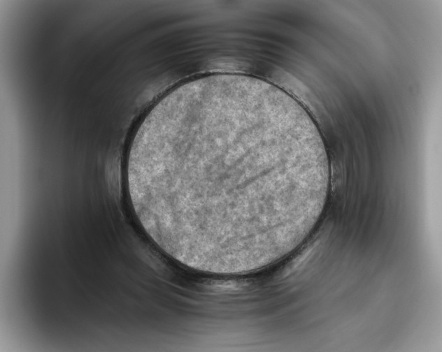 X0000093510349200711091725