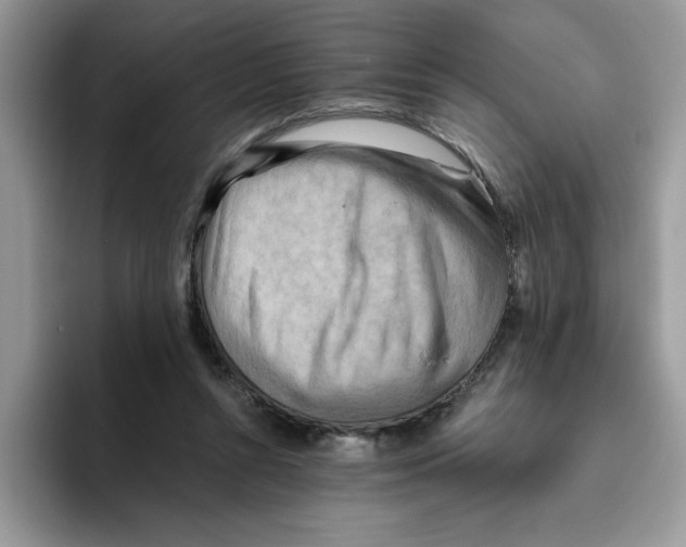 X0000093510352200711091725