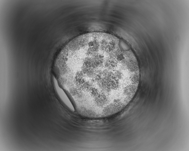 X0000093510353200711091725