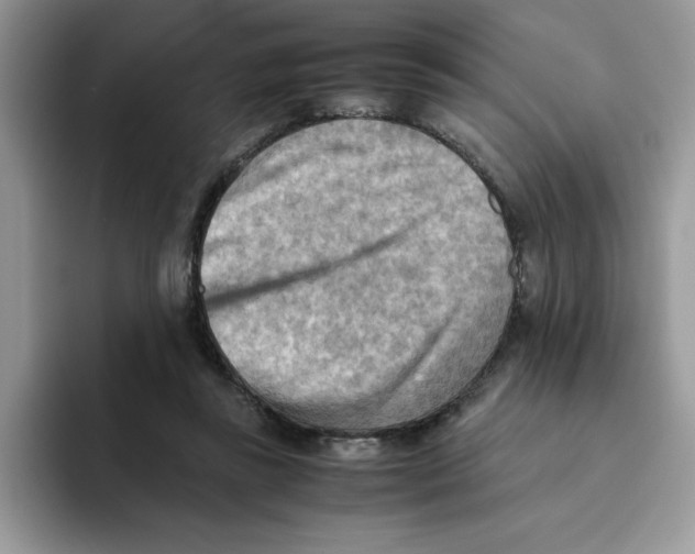 X0000093510355200711091725