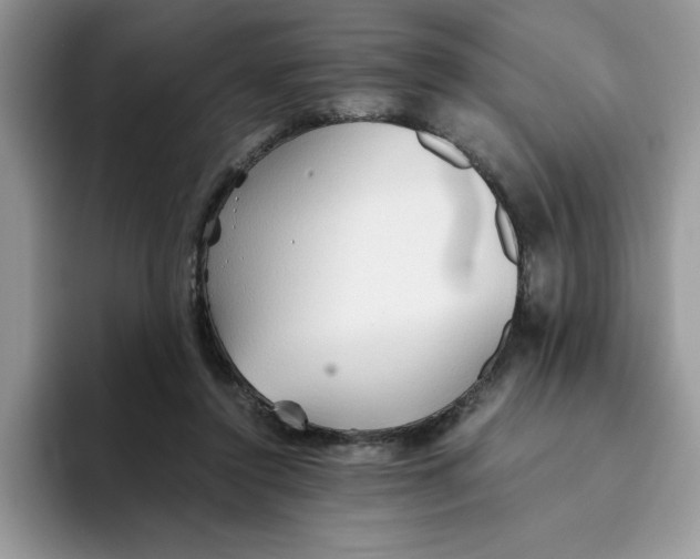 X0000093510356200711091725