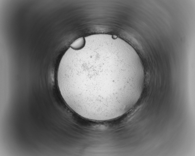 X0000093510358200711091725