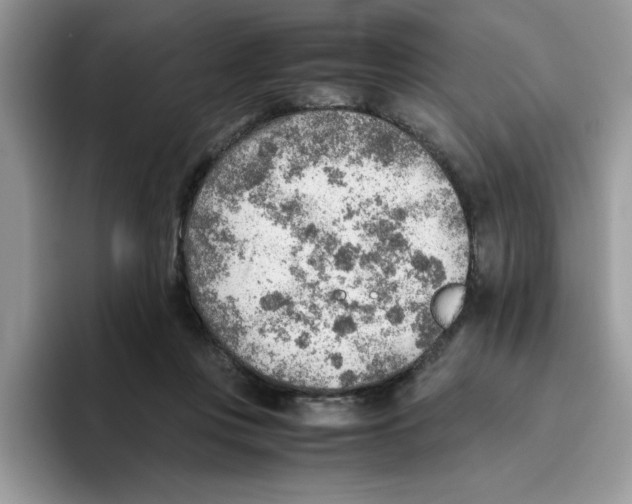 X0000093510359200711091725