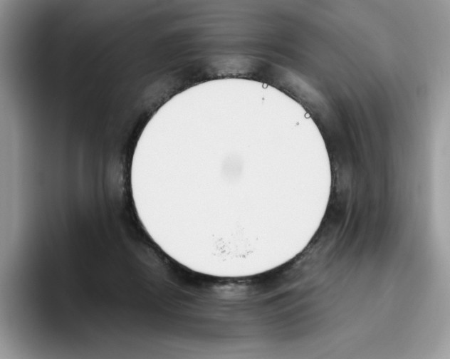 X0000093510362200711091725