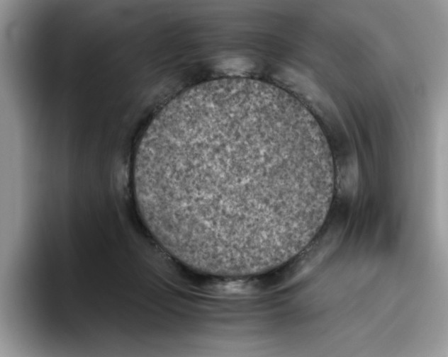 X0000093510365200711091725