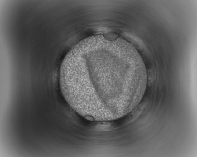 X0000093510369200711091725