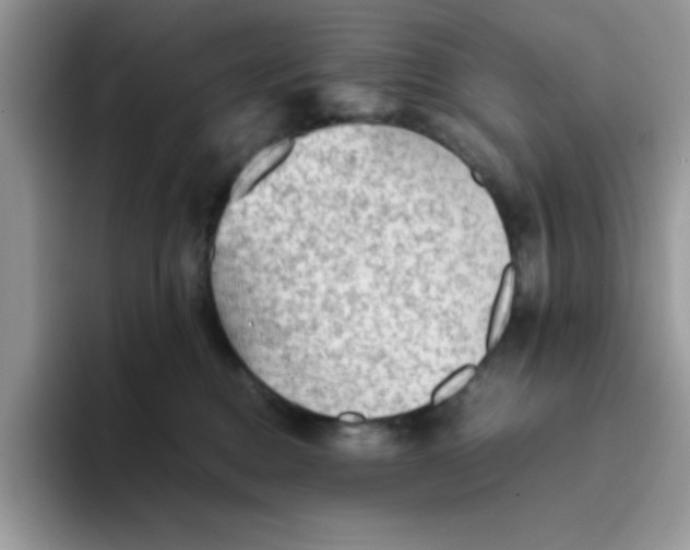 X0000093510376200711091726