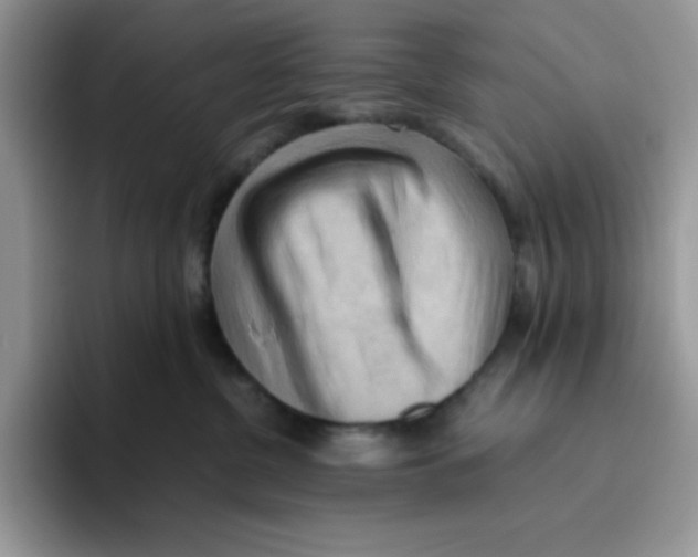 X0000093510380200711091726