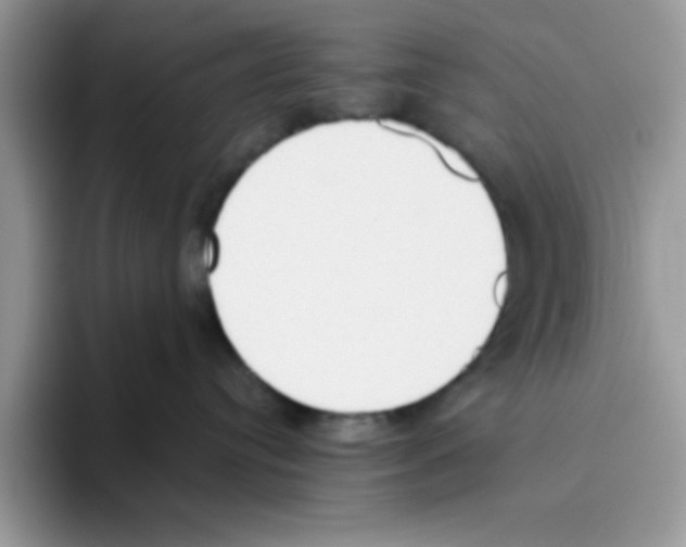 X0000093510384200711091726