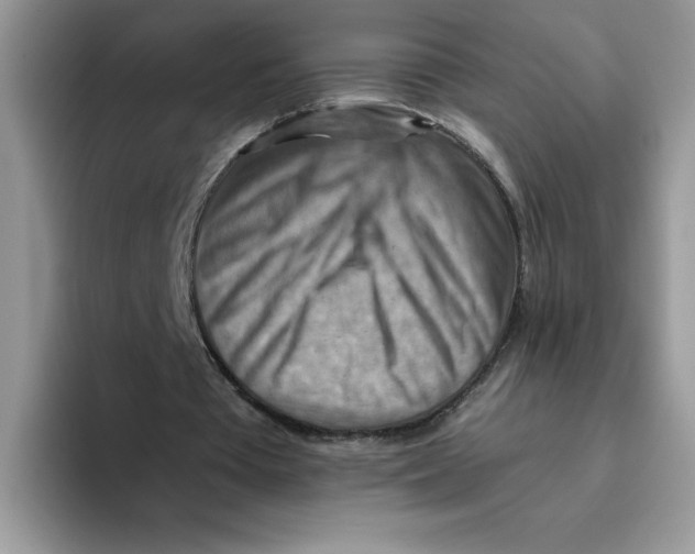 X0000093510385200711091725