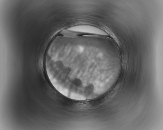 X0000093510386200711091725