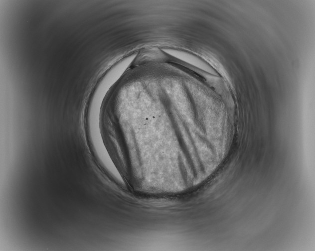 X0000093510389200711091725