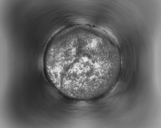 X0000093510390200711091725