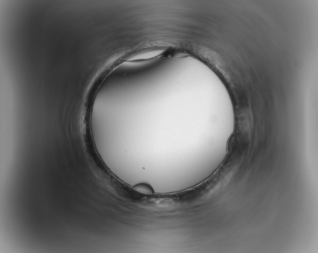 X0000093510395200711091725