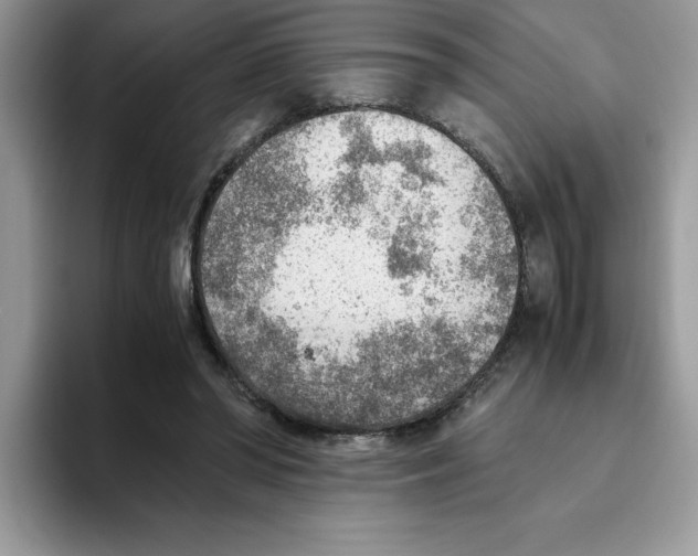 X0000093510398200711091725