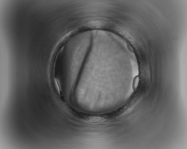 X0000093510399200711091725