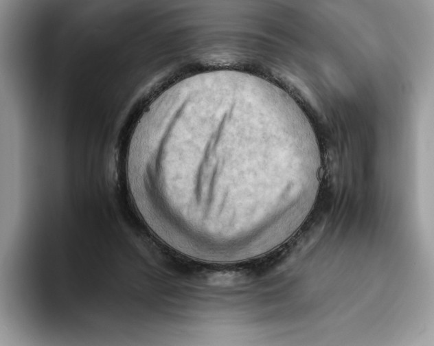 X0000093510400200711091725