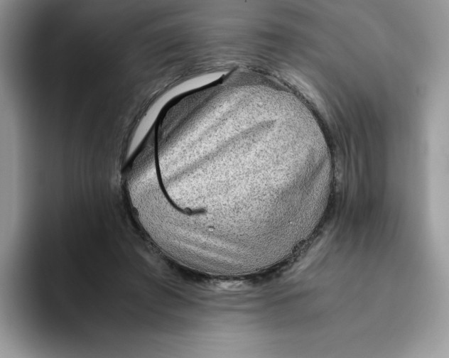 X0000093510401200711091725