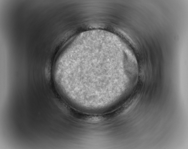 X0000093510402200711091725