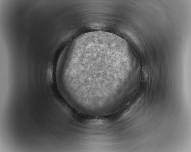 X0000093510404200711091725