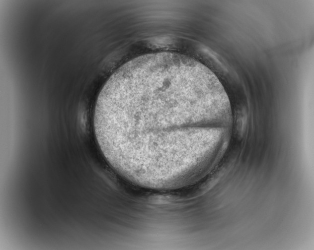 X0000093510408200711091725