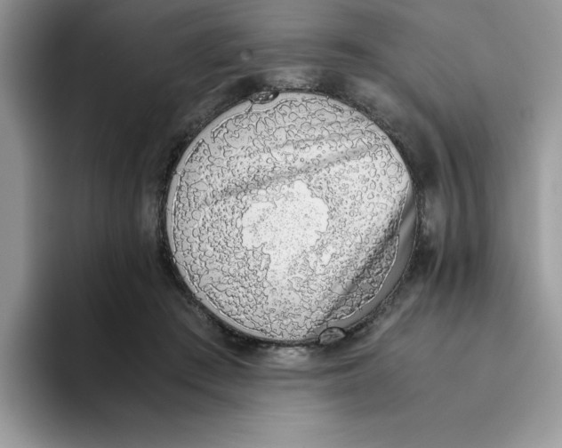 X0000093510409200711091725