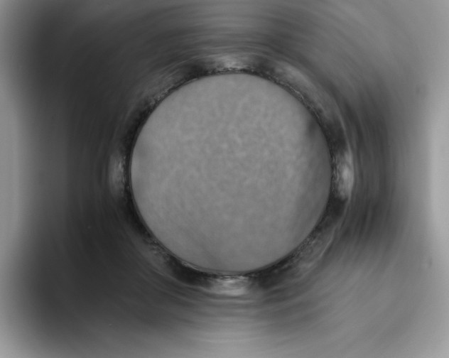 X0000093510410200711091725