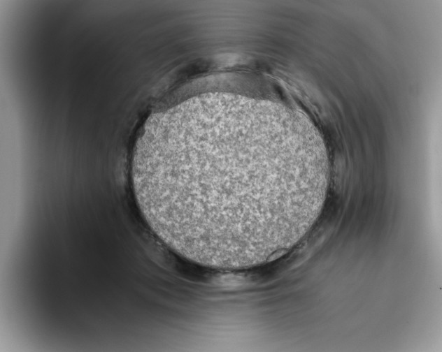 X0000093510413200711091725