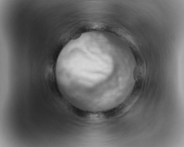 X0000093510415200711091725