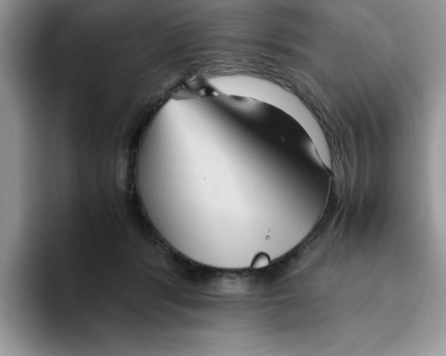 X0000093510416200711091725