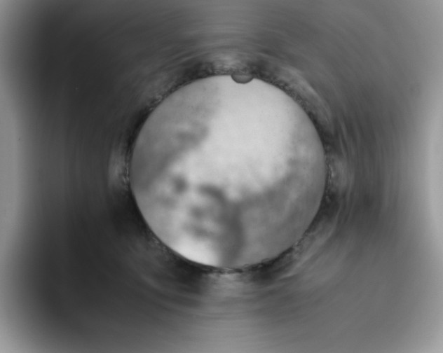 X0000093510419200711091725