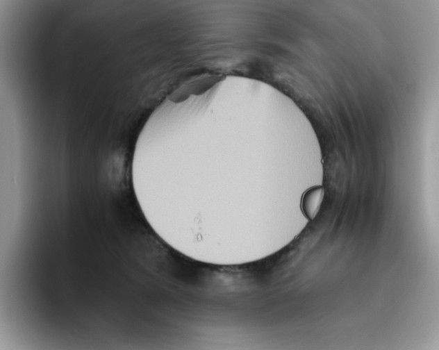 X0000093510420200711091725