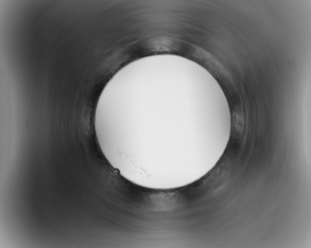 X0000093510422200711091725