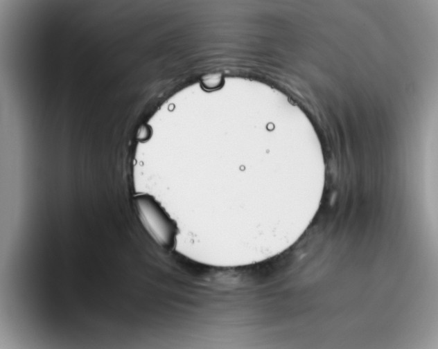 X0000093510423200711091725