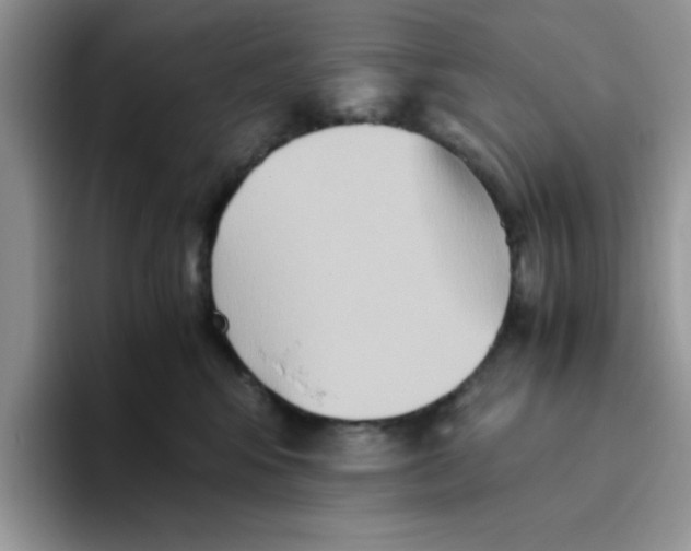 X0000093510424200711091725