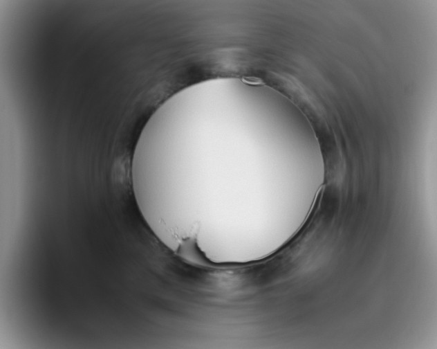 X0000093510425200711091725