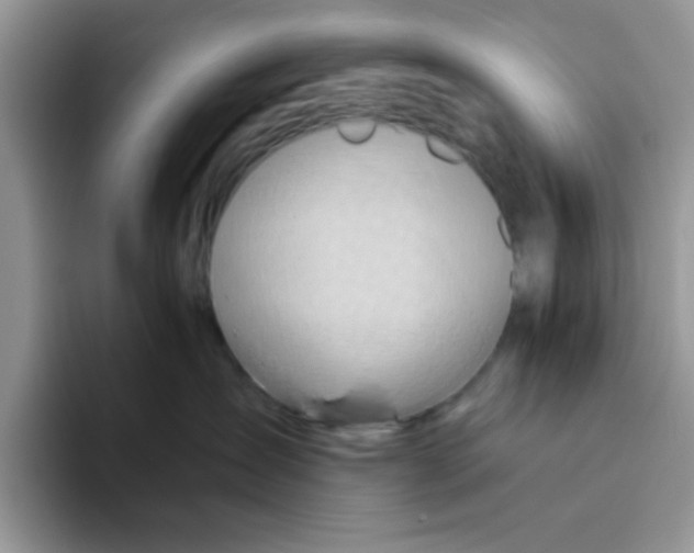 X0000093510431200711091725