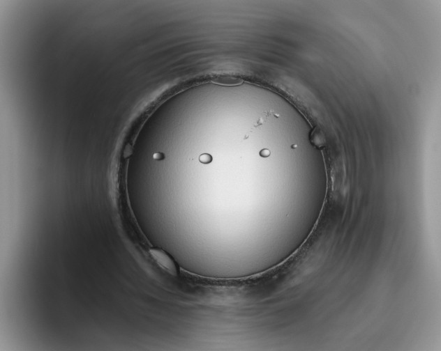 X0000093510436200711091724