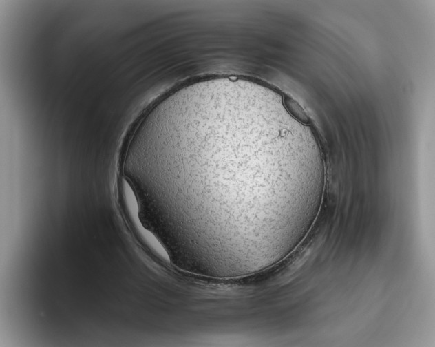 X0000093510437200711091724