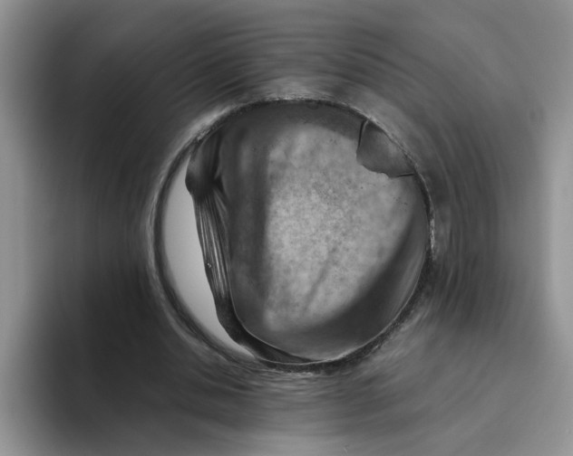 X0000093510438200711091724