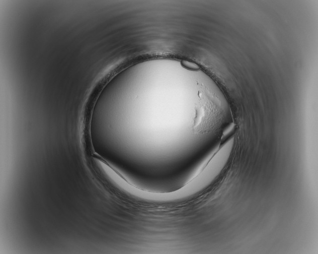 X0000093510440200711091724