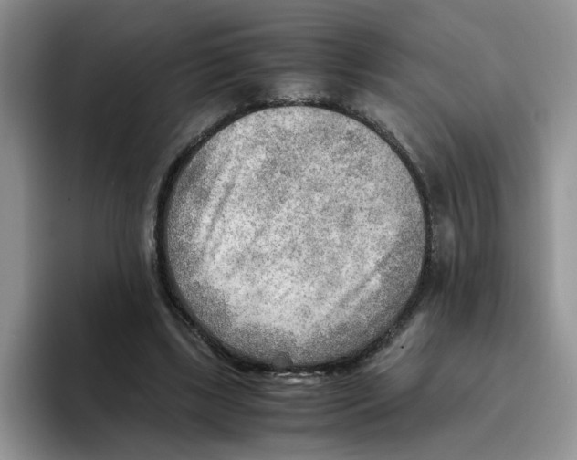 X0000093510443200711091724