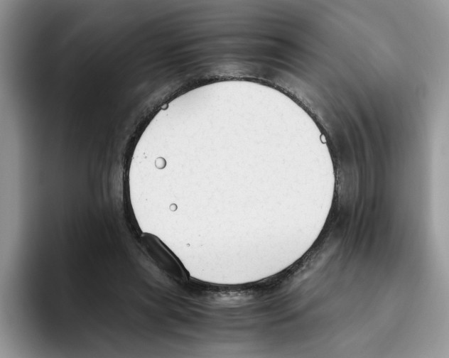 X0000093510445200711091724