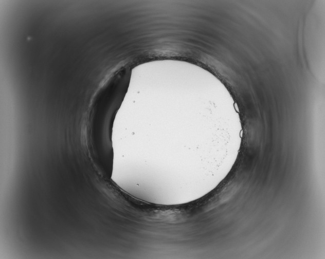 X0000093510446200711091724