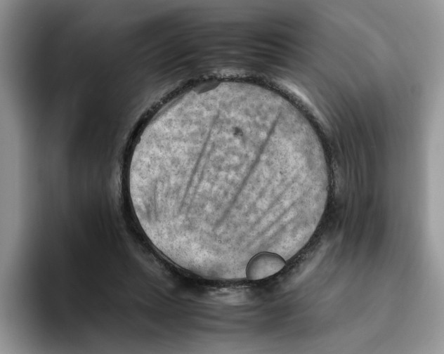 X0000093510447200711091724